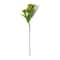12 Pack: Green Queen Anne's Lace Spray by Ashland®